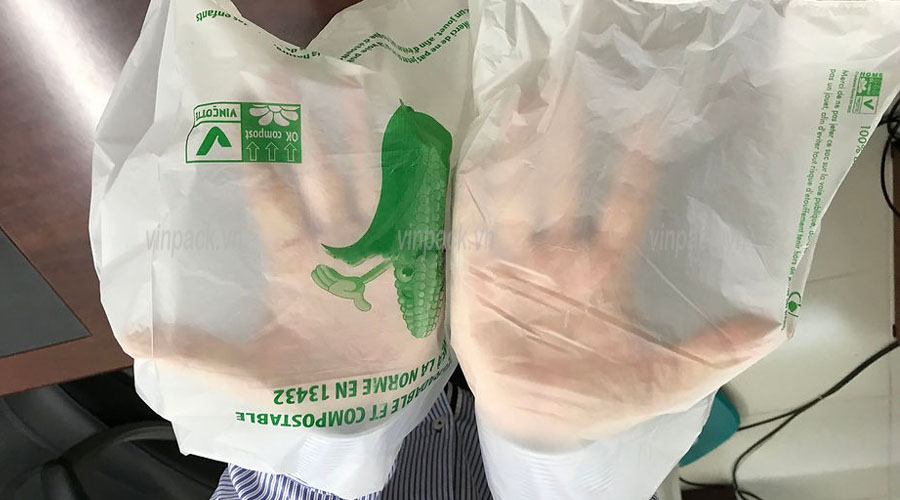 Vì Sao Túi Tự Hủy Sinh Học Trở Thành Xu Hướng Lựa Chọn?