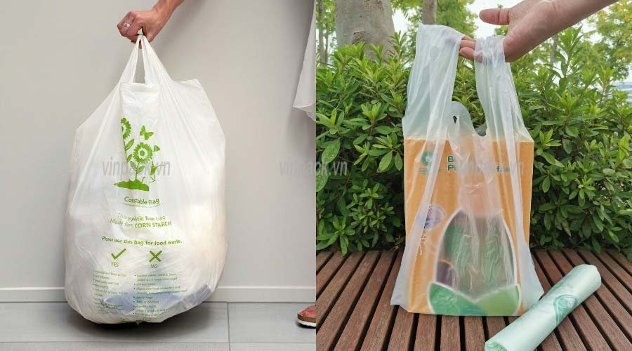 Tổng quan bên ngoài của túi tinh bột