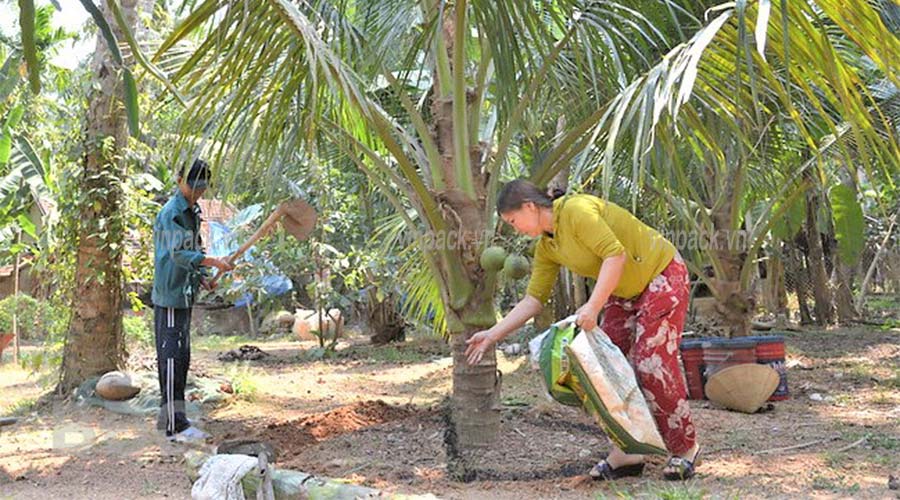 Túi ươm cây, túi trồng cây, trồng dừa