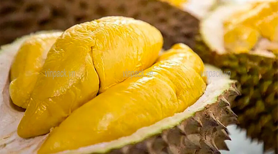túi ươm cây, túi trồng cây, trồng cây sầu riêng
