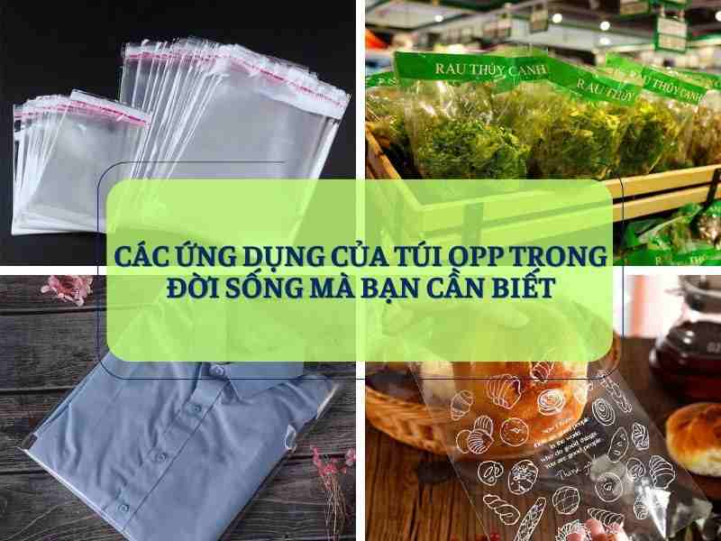 Các Ứng Dụng Của Túi OPP Trong Đời Sống Mà Bạn Cần Biết