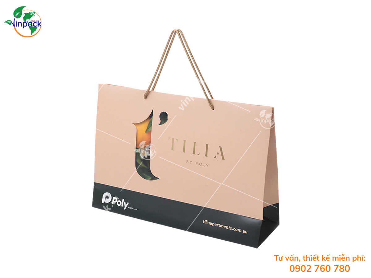 Gifts paper bag