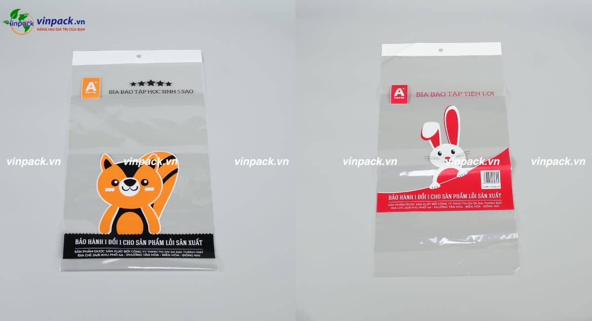 Mẫu túi bóng kính in logo