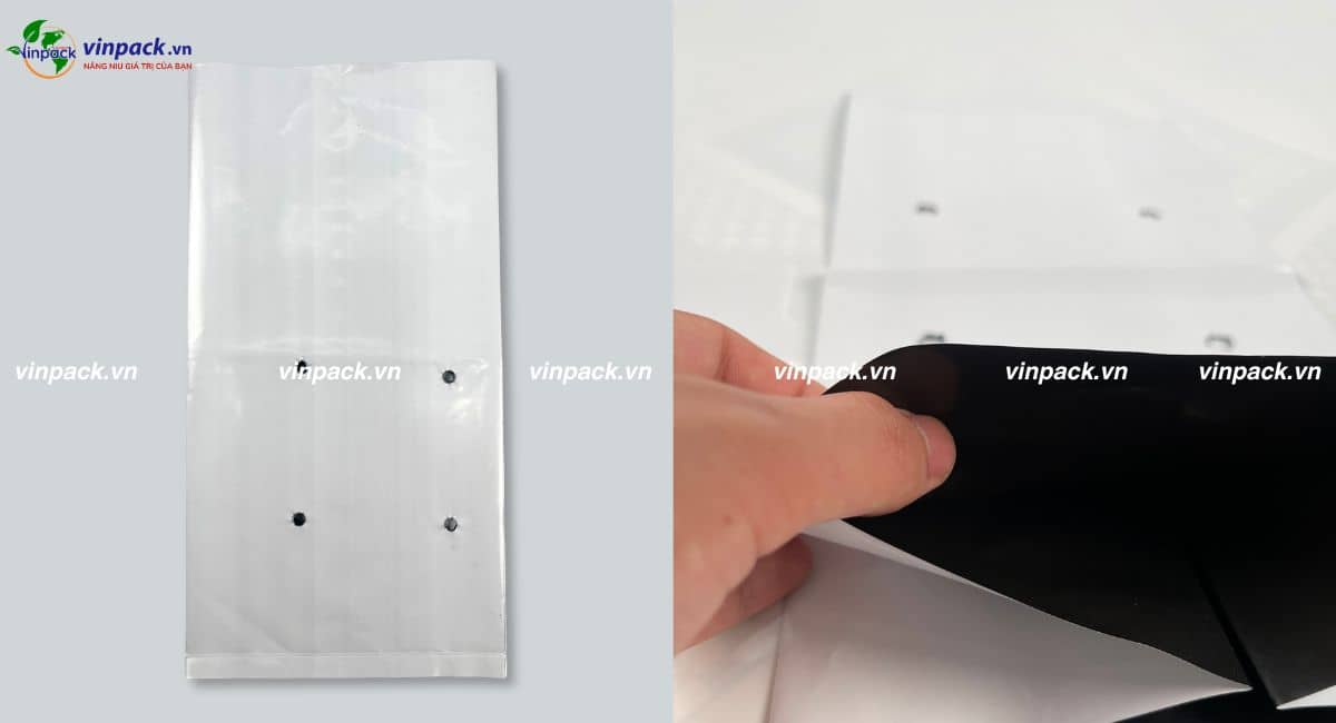 Mẫu túi bầu ươm cây 2 da