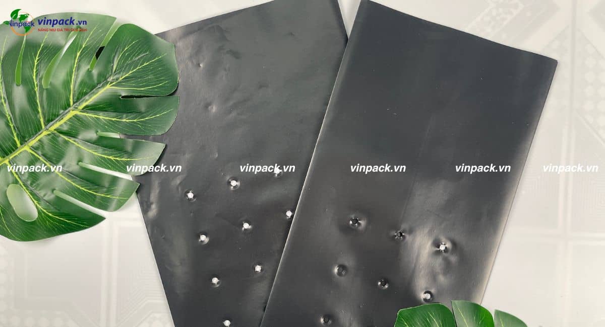 Loại túi bầu ươm cây màu đen
