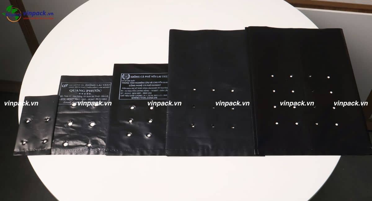 Mẫu túi trồng cây cà phê