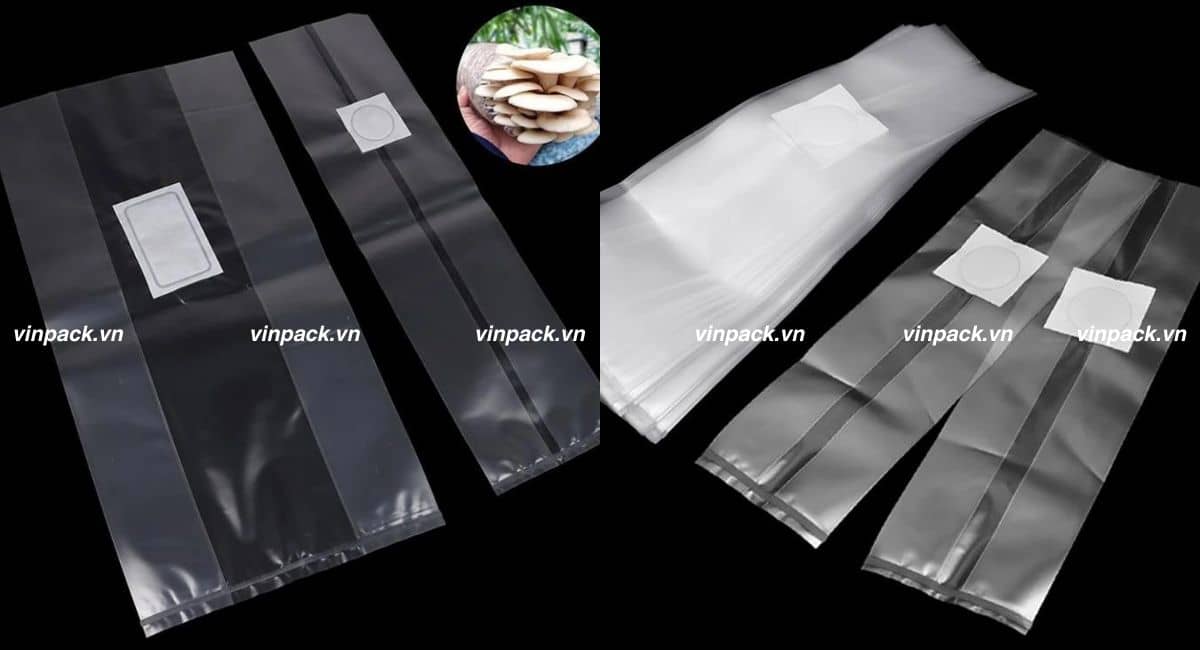 Mẫu túi trồng nấm