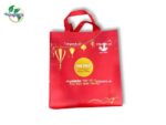 Túi vải không dệt đựng moon cake in theo yêu cầu