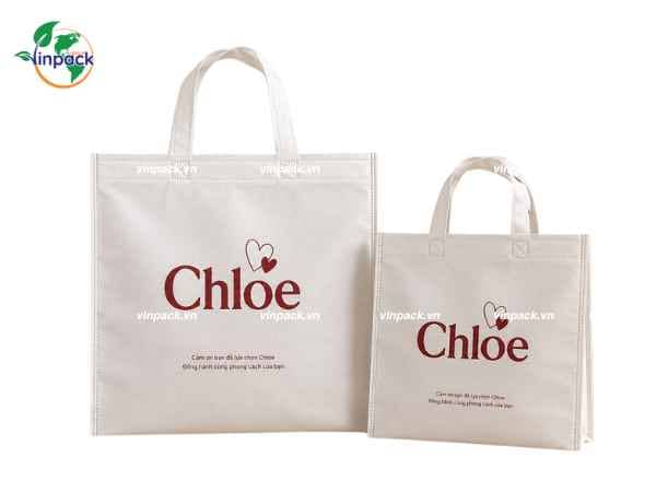Túi vải không dệt đựng quần áo in logo thương hiệu theo yêu cầu