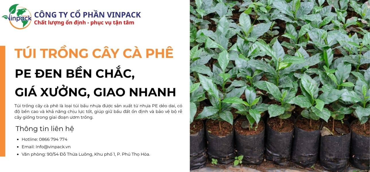 Túi trồng cây cà phê có đục lỗ thoát nước