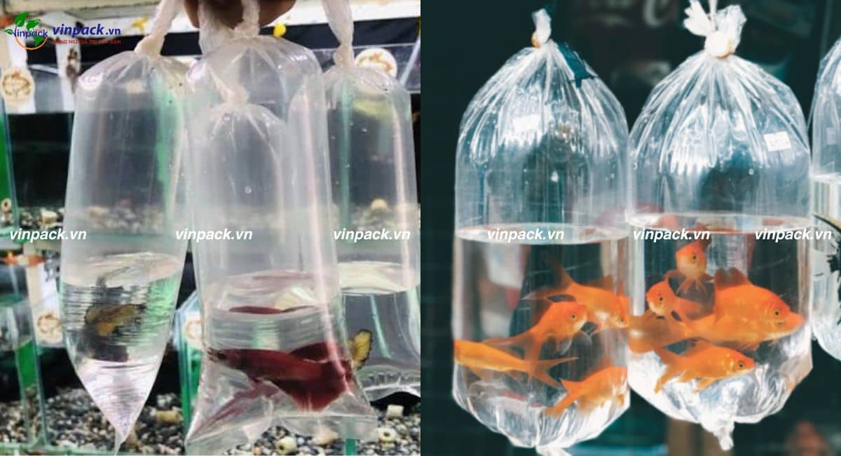 túi PE đựng cá dẻo dai