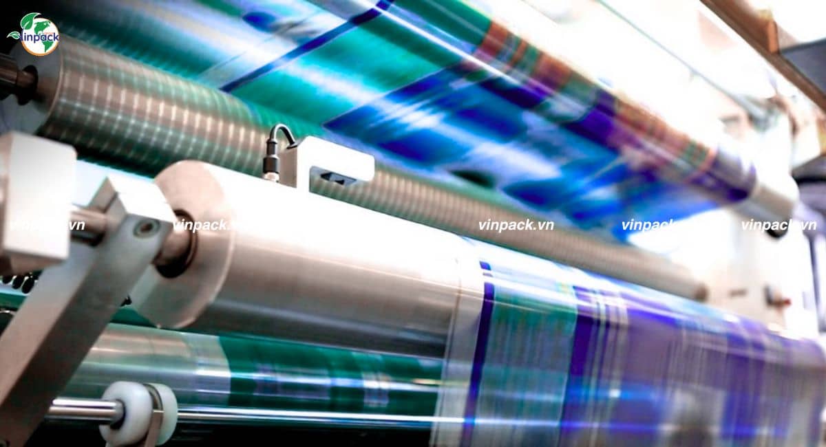 In màng ghép là gì