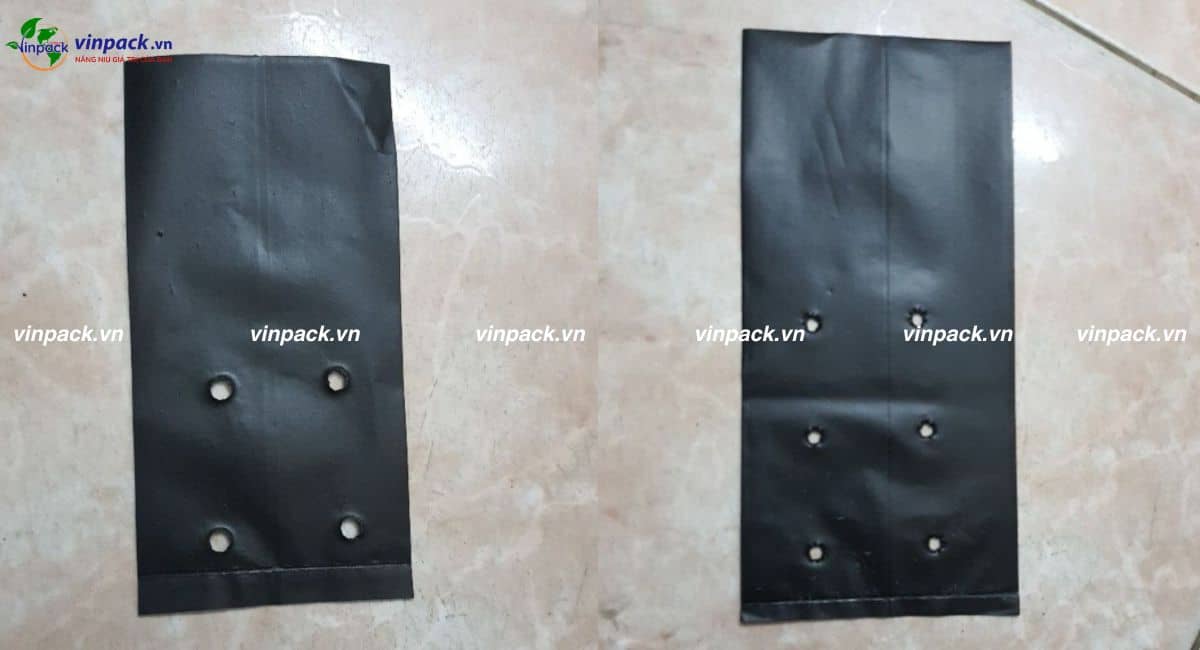 Túi bầu ươm cây cà phê