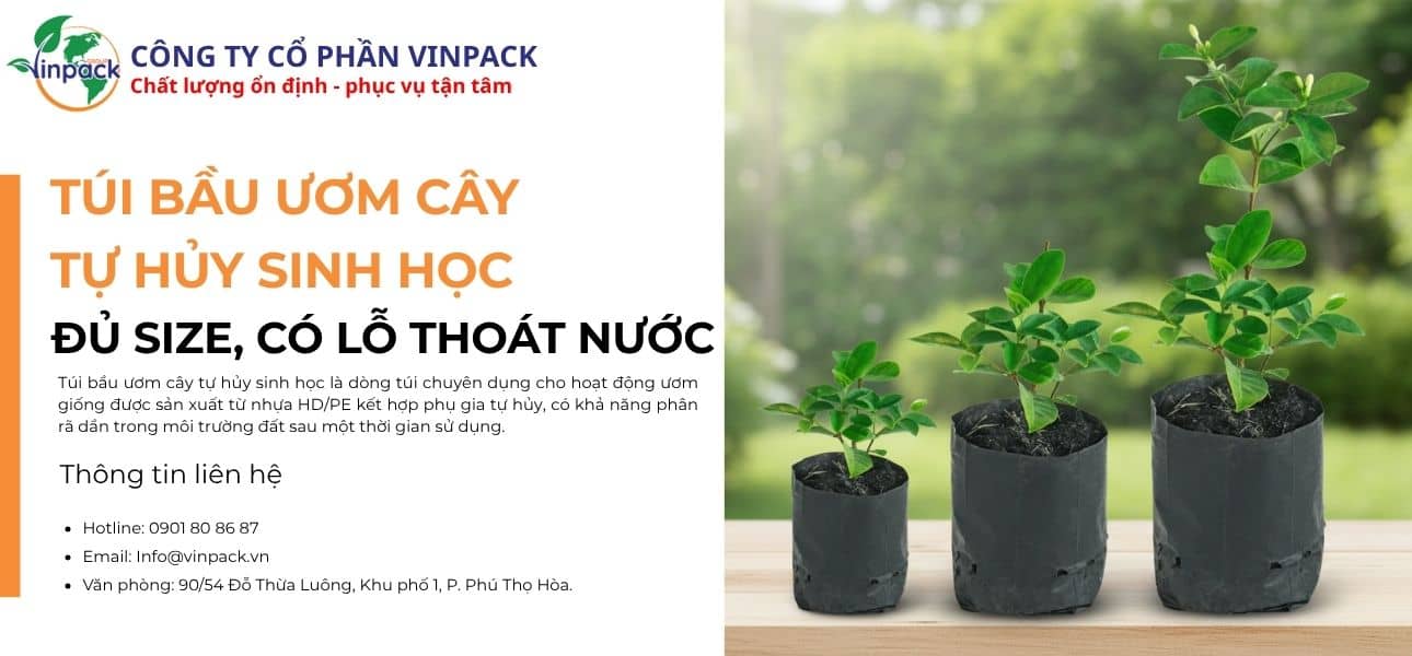 Túi bầu ươm cây tự hủy sinh học