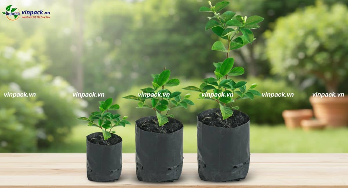 Túi bầu ươm cây tự hủy đủ kích thước