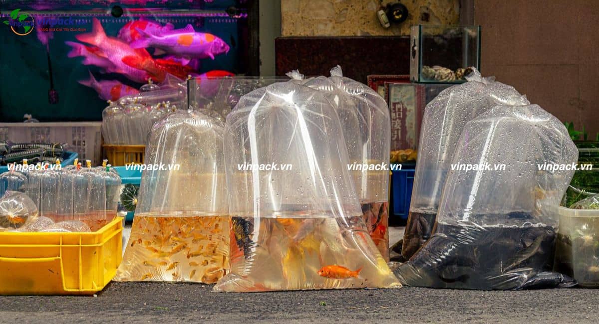 túi cá trong suốt dễ nhìn