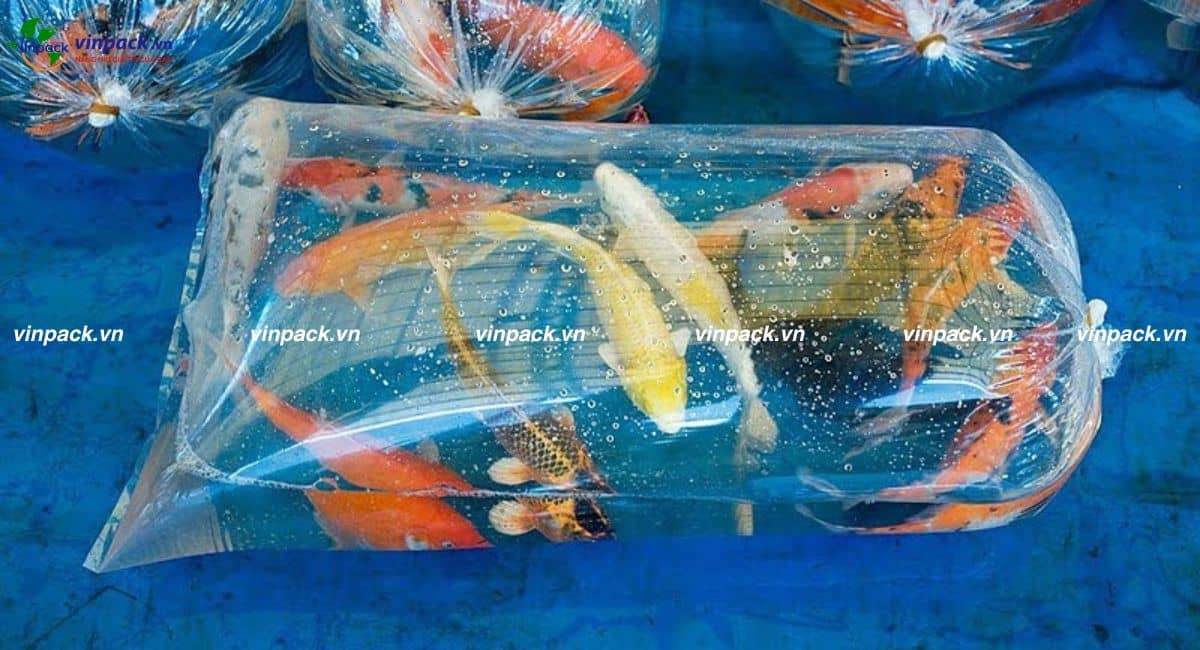 túi vận chuyển cá bơm oxy