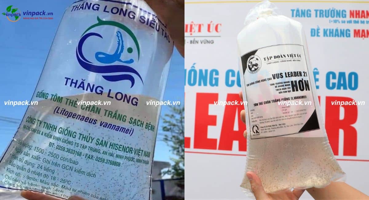 In túi tôm giống theo yêu cầu