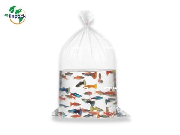 Túi đựng cá cảnh PE trong suốt