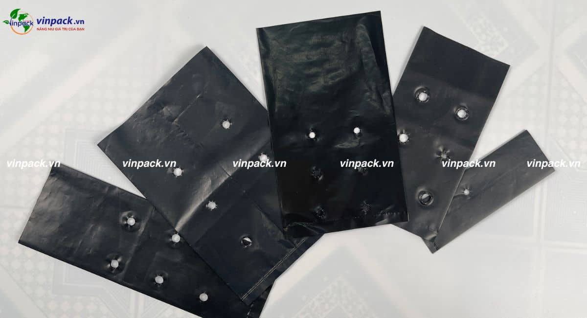 Túi trồng cây cà phê