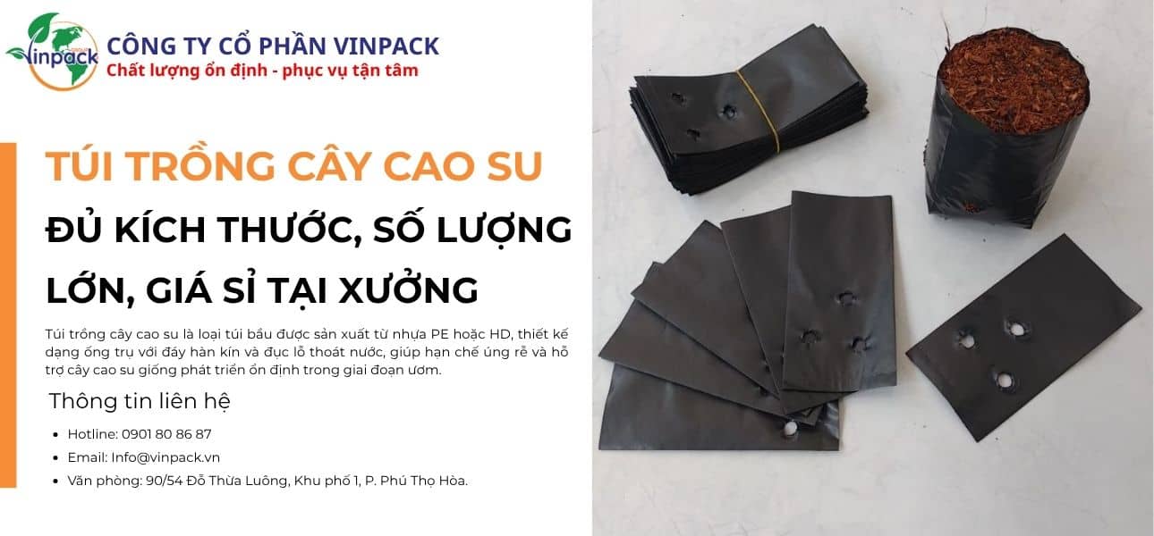 túi trồng cây cao cao su nhiều kích thước