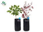 Túi bầu ươm cây tự hủy sinh học