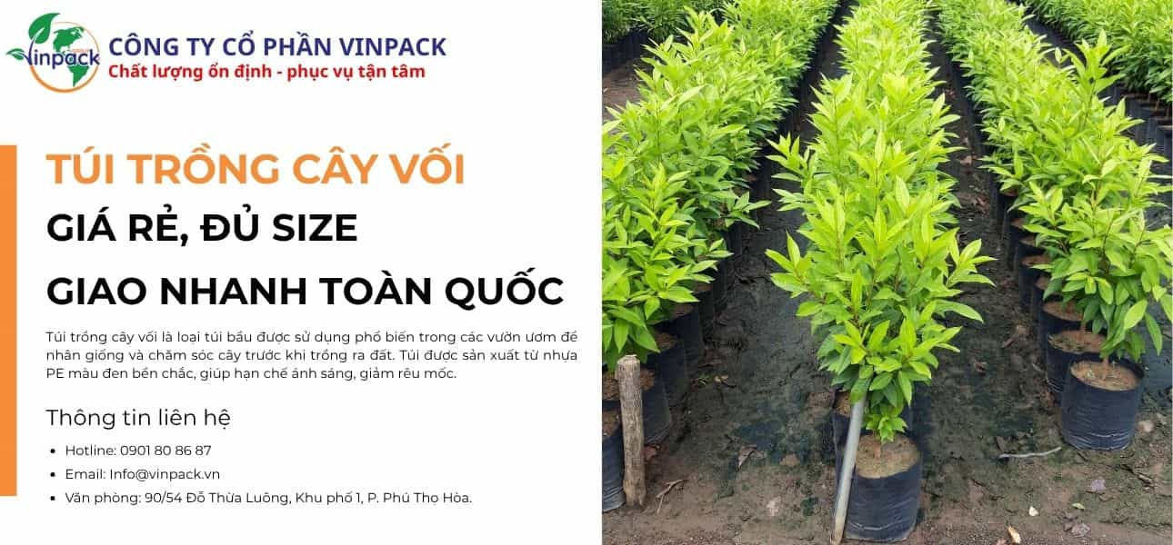 Túi trồng cây vối đa dạng kích thước