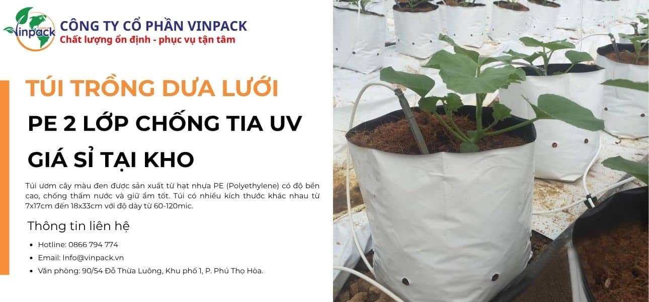 Túi ươm cây dưa lưới