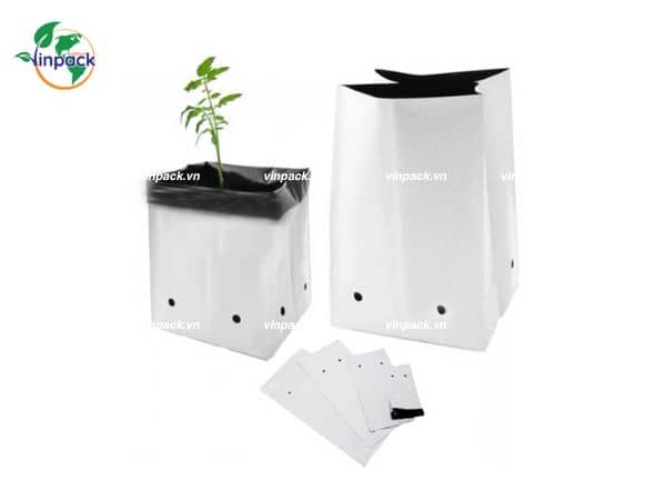 Túi ươm cây dưa lưới