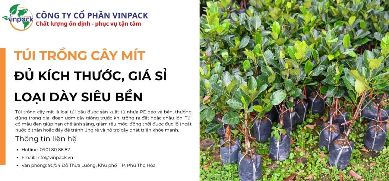 Túi trồng cây mít đủ kích thước cho vườn ươm