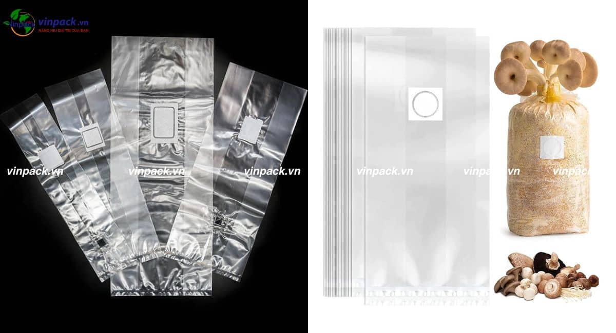 Mẫu túi cho phôi nấm