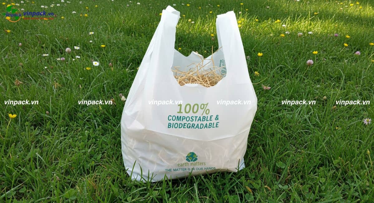 Túi tự hủy sinh học là gì ?