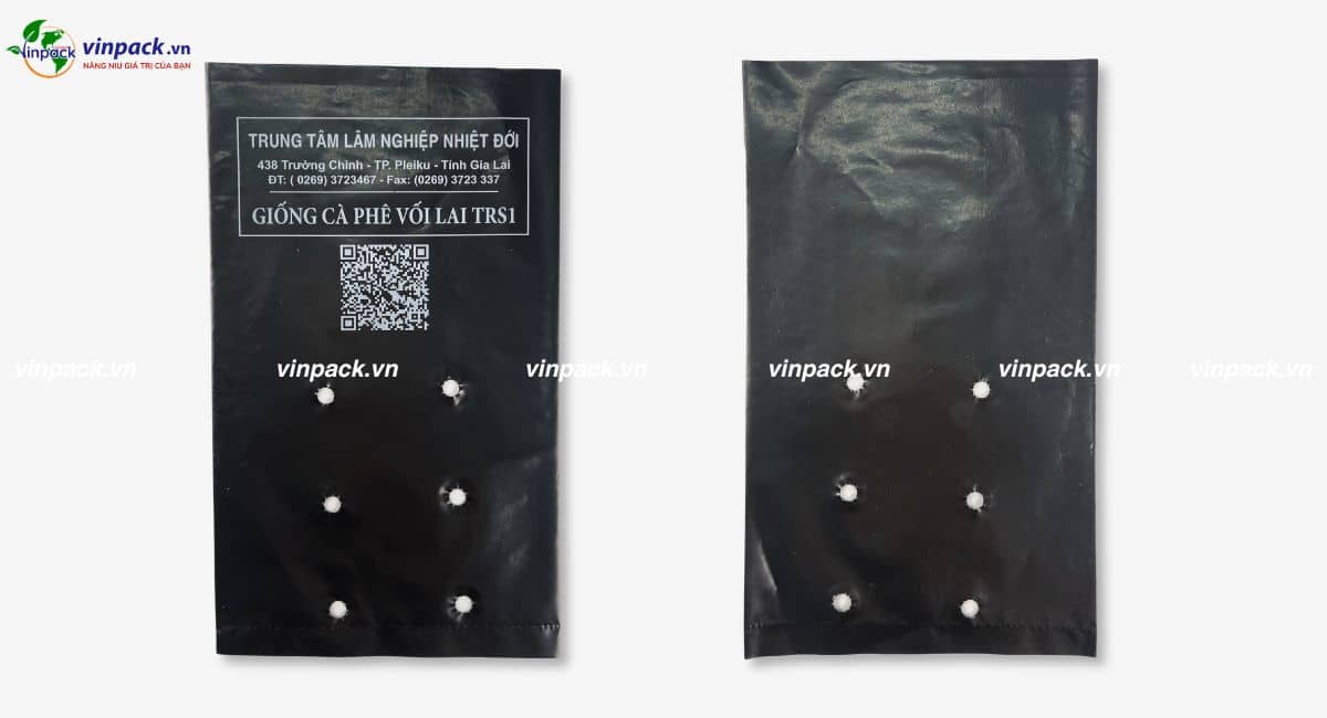 Túi ươm cây cà phê