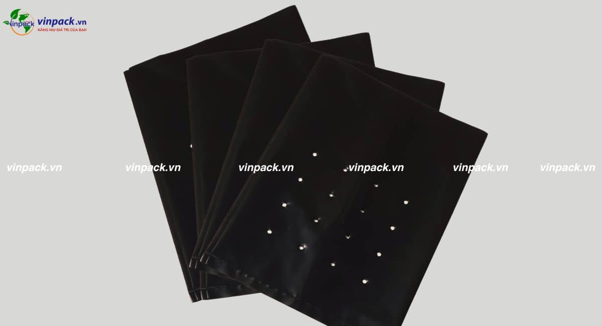 Túi ươm cây sầu riên