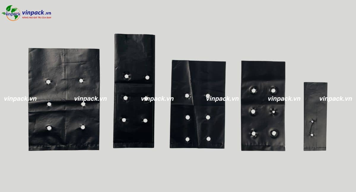 Mẫu túi ươm gừng nhiều kích thước