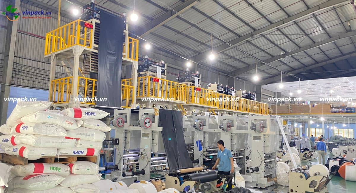 Vinpack sản xuất túi trồng cây cao su