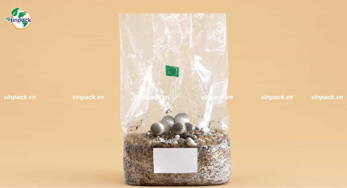 Mẫu túi ươm cây trong phôi nấm