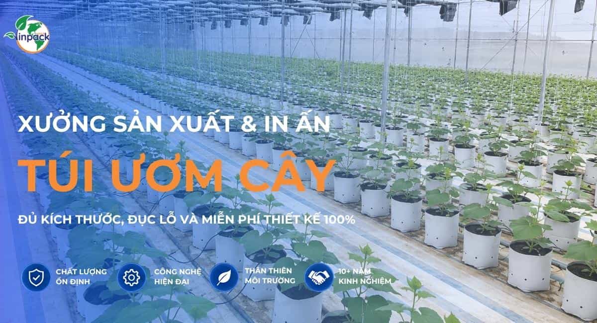 Xưởng sản xuất và in ấn túi ươm cây đủ kích thước đục lỗ thoát nước theo yêu cầu