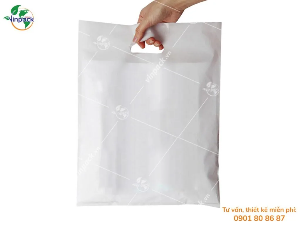 Túi Hột Xoài PE