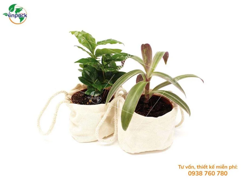 Túi vải bố bọc chậu cây