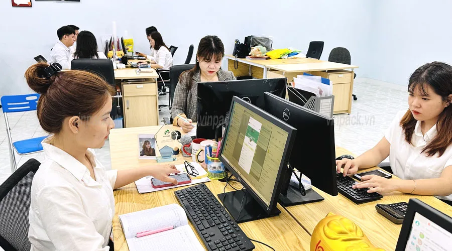 Nhân viên phòng kinh doanh Vinpack làm việc nghiêm túc