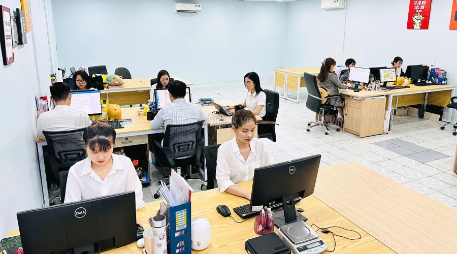 Vai trò không thể thiếu của phòng kinh doanh Vinpack trong công ty