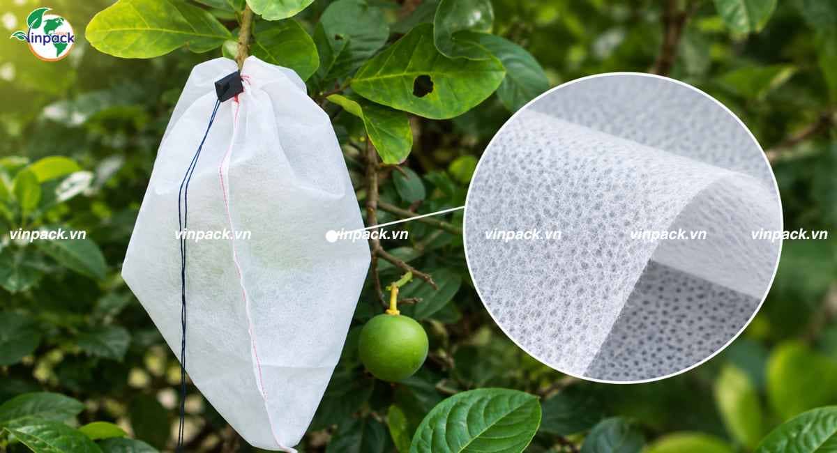 Chất liệu vải không dệt bọc trái cây cận cảnh
