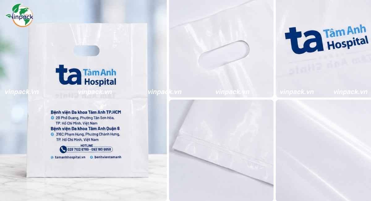 Chi tiết về túi hột xoài bệnh viện Tâm Anh
