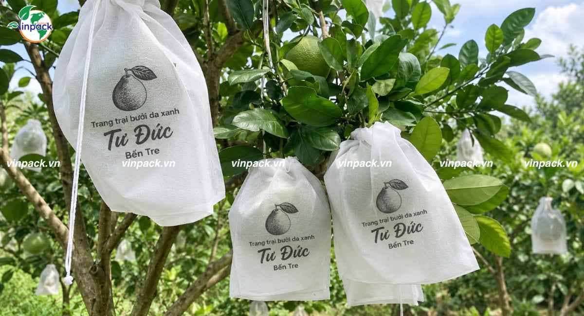 Công nghệ in túi vải không dệt bọc trái cây tăng nhận diện vườn ươm