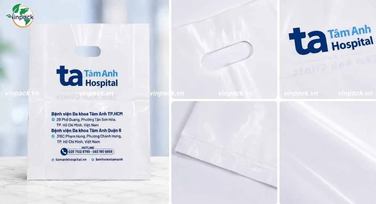 Chi tiết về túi hột xoài bệnh viện Tâm Anh