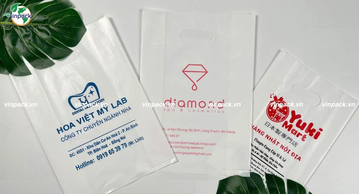 Mẫu túi hột xoài PE in logo theo yêu cầu thương hiệu