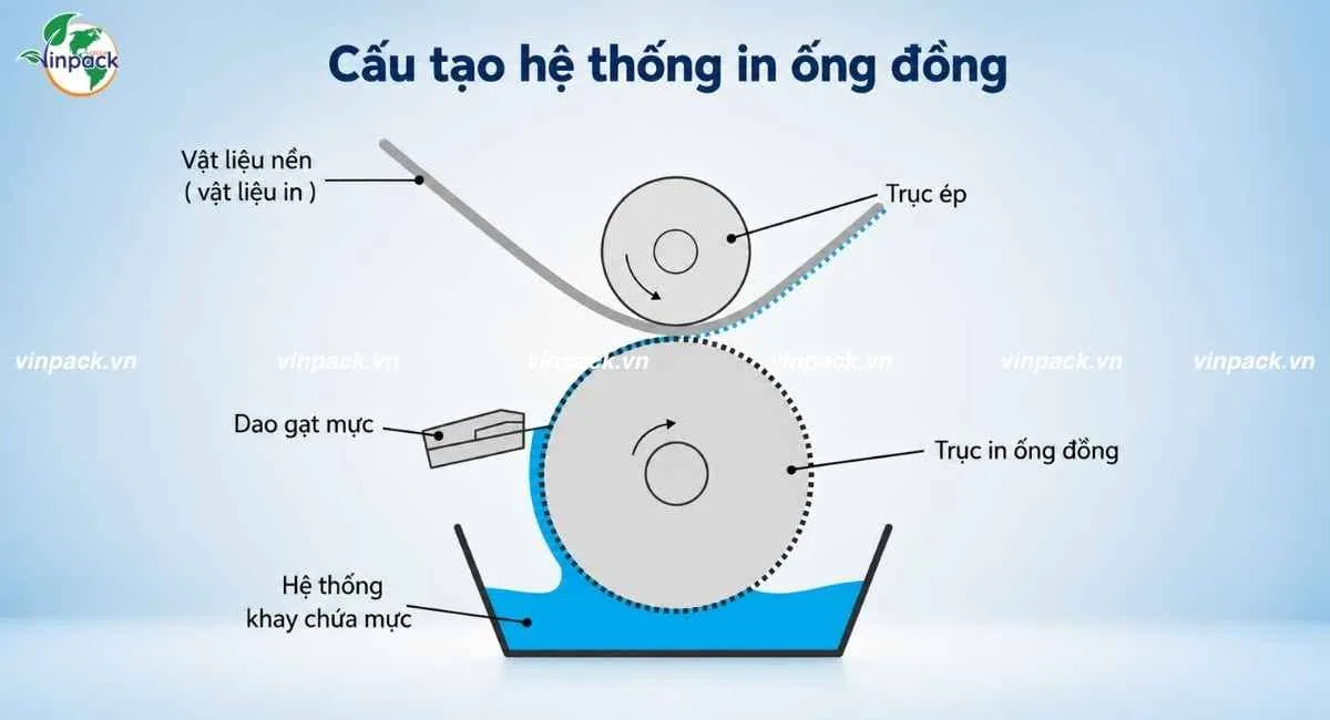 Sơ đồ cấu tạo hệ thống in ống đồng: trục ép, trục in, dao gạt mực, khay chứa mực