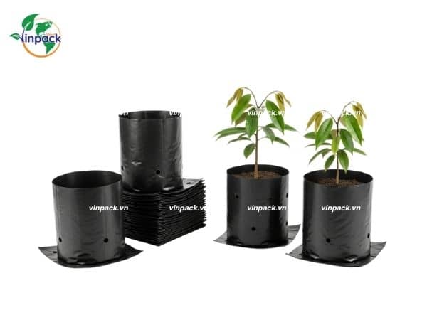 Túi Trồng Cây Sầu Riêng