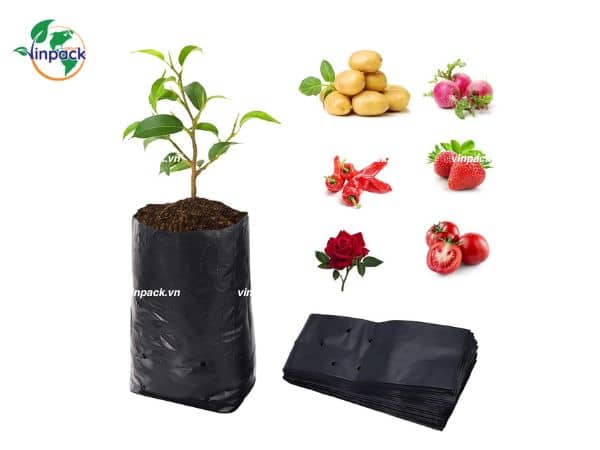 Túi Bầu Ươm Cây Tự Hủy Sinh Học